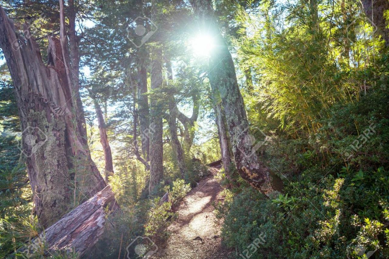 Foret Austral Ranomafana 外观 照片